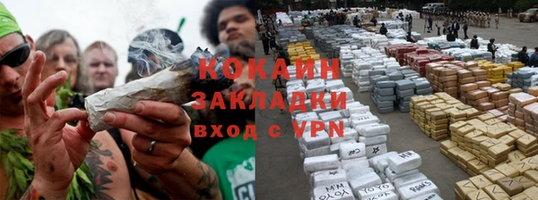 a pvp Аркадак