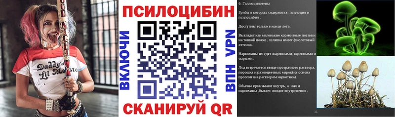 Галлюциногенные грибы Psilocybine cubensis Калач